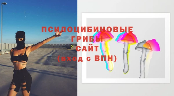 гидра Медвежьегорск