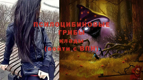 эйфоретик Медногорск