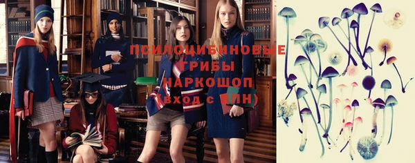 хмурый Магас