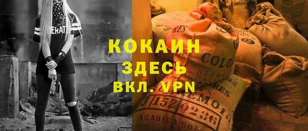 хмурый Магас