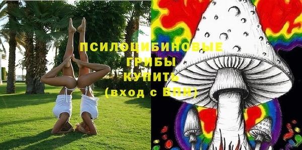эйфоретик Медногорск