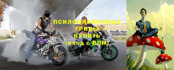 прущая мука Магадан
