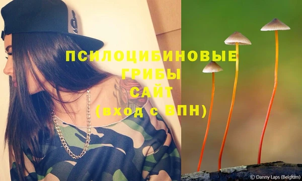 тгк Майский