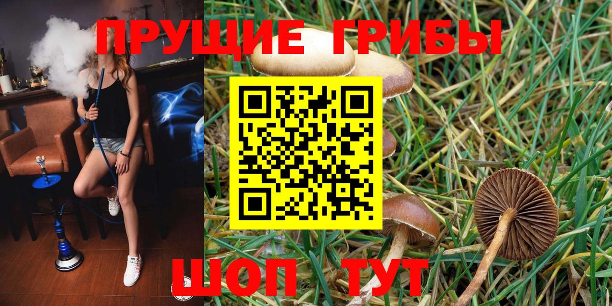Галлюциногенные грибы Psilocybe  Вход с VPN  Новомосковск 